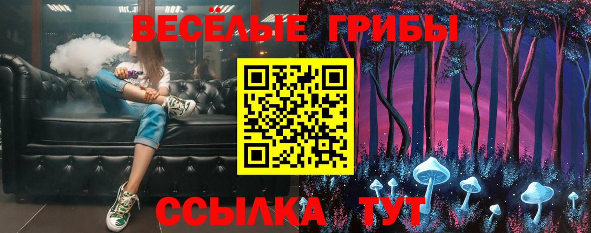 Галлюциногенные грибы Psilocybe Калуга
