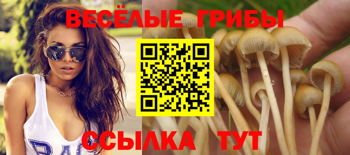 МАРИХУАНА Калуга