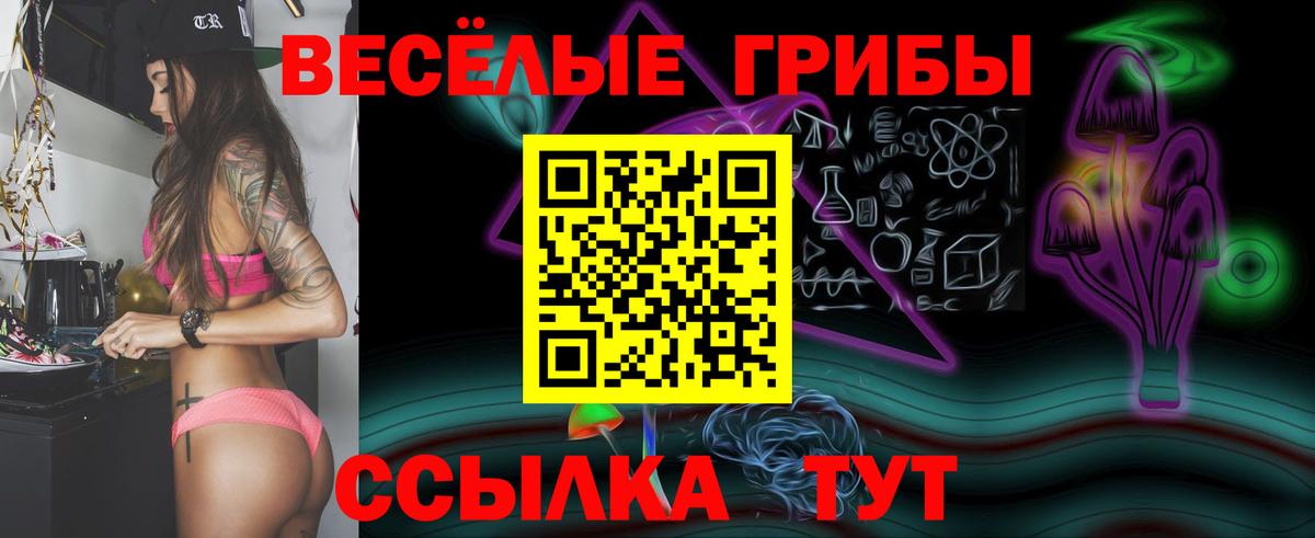 Галлюциногенные грибы MAGIC MUSHROOMS  Галлюциногенные грибы Psilocybe  Калуга  Вход с VPN 
