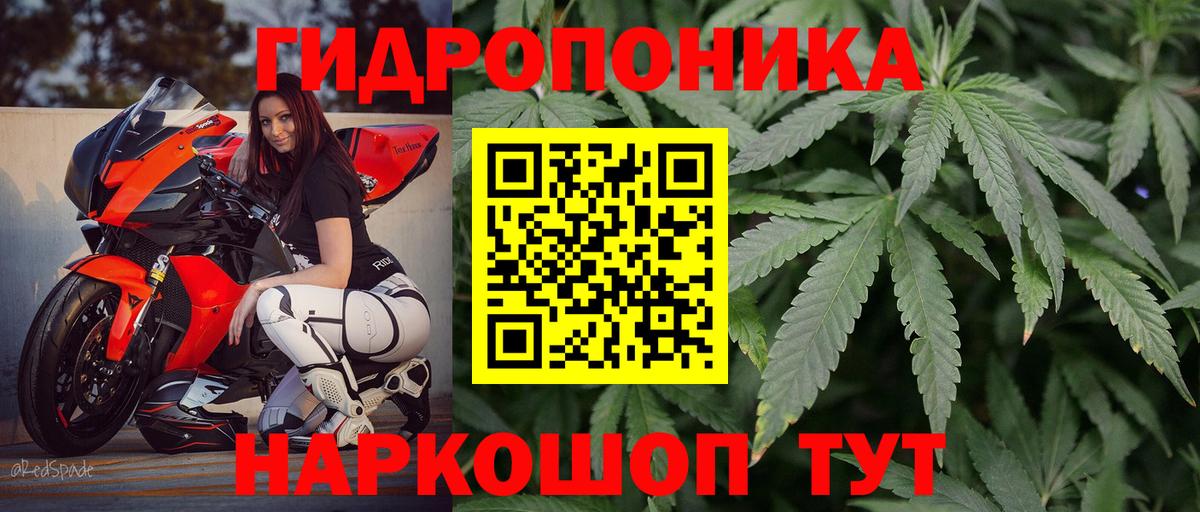 Бошки марихуана семена  Шишки марихуана сатива  Вход с VPN  Калуга  Канабис Bruce Banner  Канабис OG Kush 